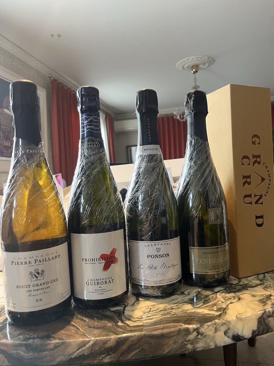 画材 Cassis Rouge 画材 Cassis Rouge Cassis Floral - Rouge Fabrics | Schumacher