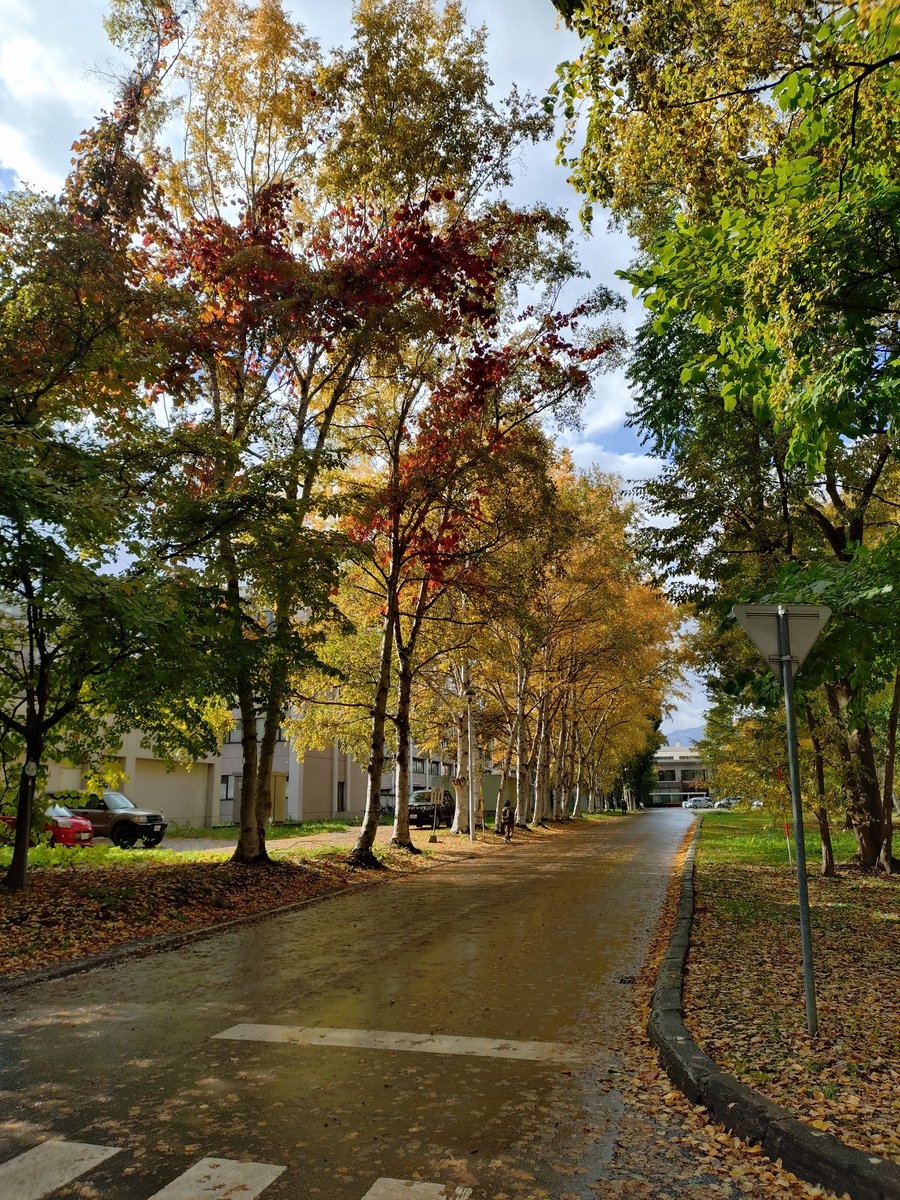 山崎翔様 山崎 翔 (@shoyamasaki) / Posts / X