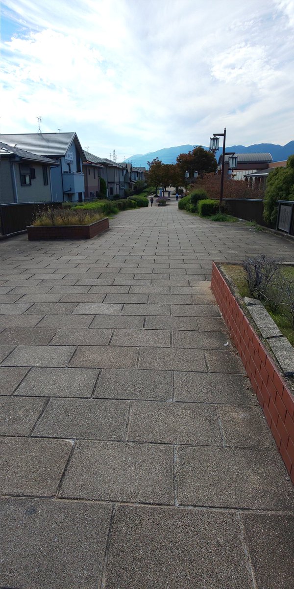 田んぼページ 斜面が田んぼ・夏 | GANREF