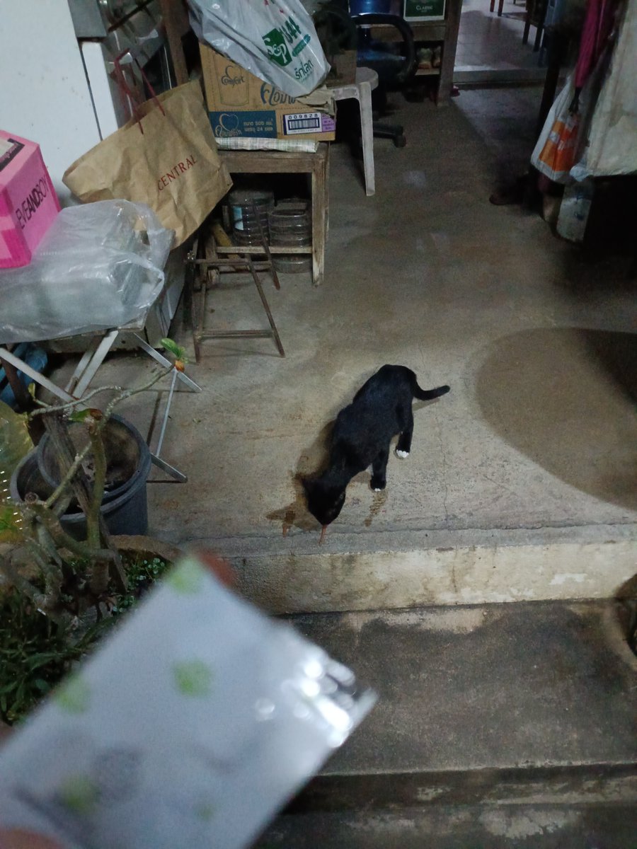 Just one look – and the past loses its grip!