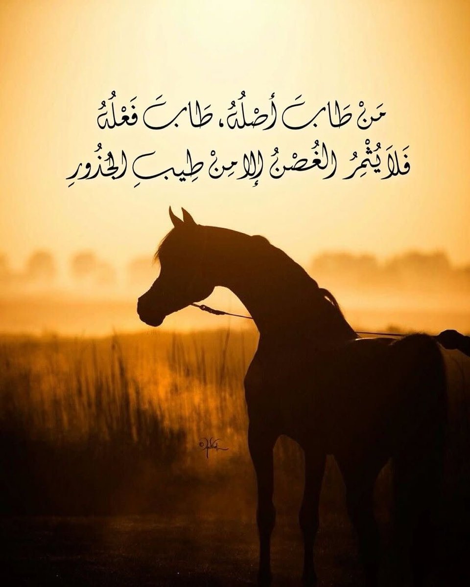 من طاب أصله ، طاب فعله

فلا يثمر الغصن إلا من طيب الجذور