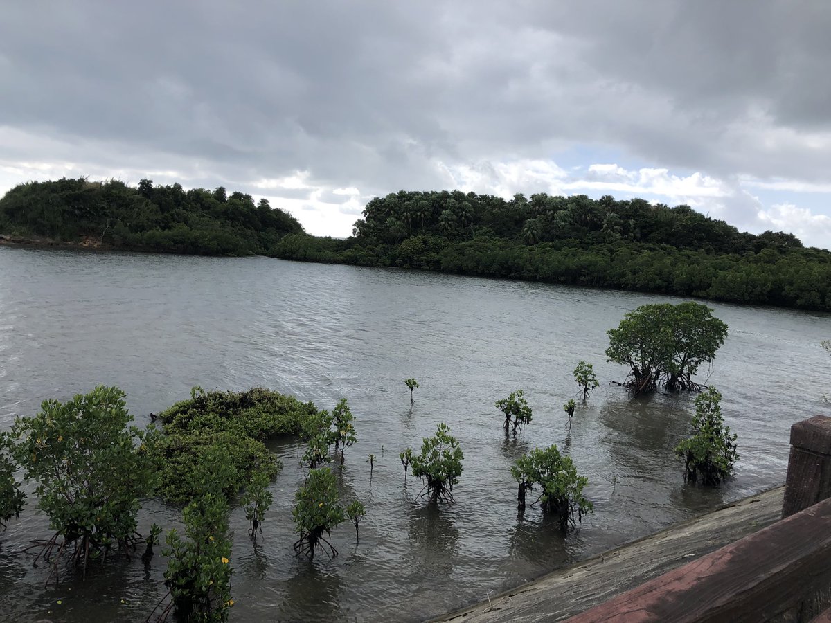 uokushi_nakano's tweet image. ★お知らせ★

11月2日〜5日まで
研修の為、お休み頂きます

尚、6日から営業再開致しますので
宜しくお願い致します😀