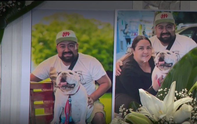 Two side-by-side photographs: left shows a man wearing a green cap with M logo, white t-shirt, and shoulder strap, sitting outdoors with a white bulldog on his lap near green foliage and a red bench; right shows a woman in black top hugging the same white bulldog, with white flowers and green leaves in the background.