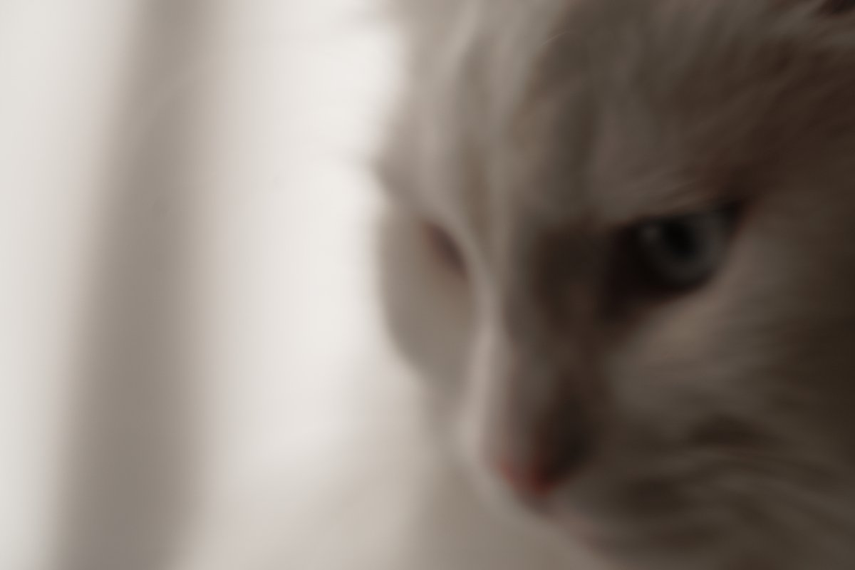 ★ともとも①〜⑨★ ☆ともとも①〜⑨ ともとも①〜⑨ ともとも①