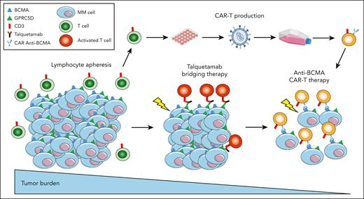 Designing a strong bridge to CAR-T cells with bispecifics #mmsm #bmtsm <a href="/Dagostino_MD/">Mattia D’Agostino</a> ashpublications.org/blood/article/…