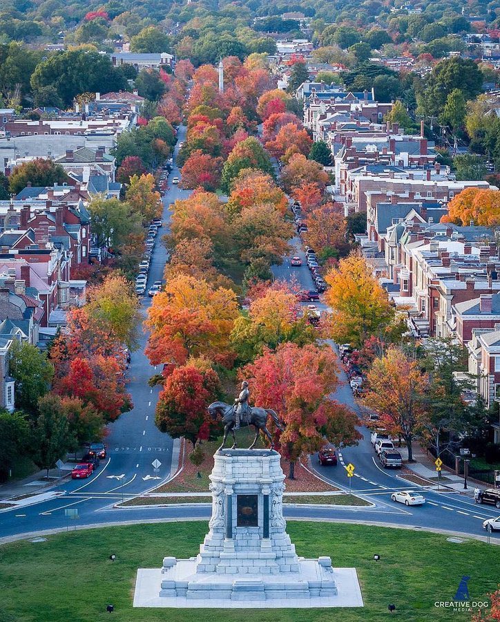 Gentleman from Virginia tweet media