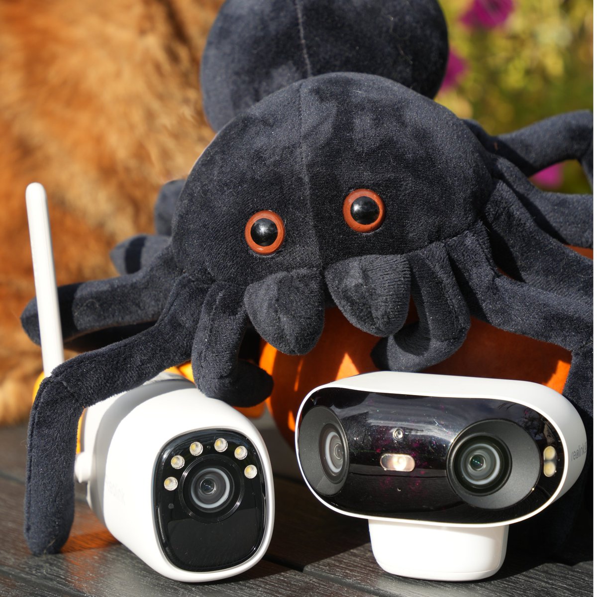 ReolinkTech's tweet image. As pumpkins glow and spooky lights twinkle, #Reolink guards the moments you treasure most. May your Halloween be cozy, bright, and secure. Share your Halloween decor with us in the comments! 🧡🎃🕯️
📷: dimox.t
#SecurityCamera #HomeSecurity #Halloween