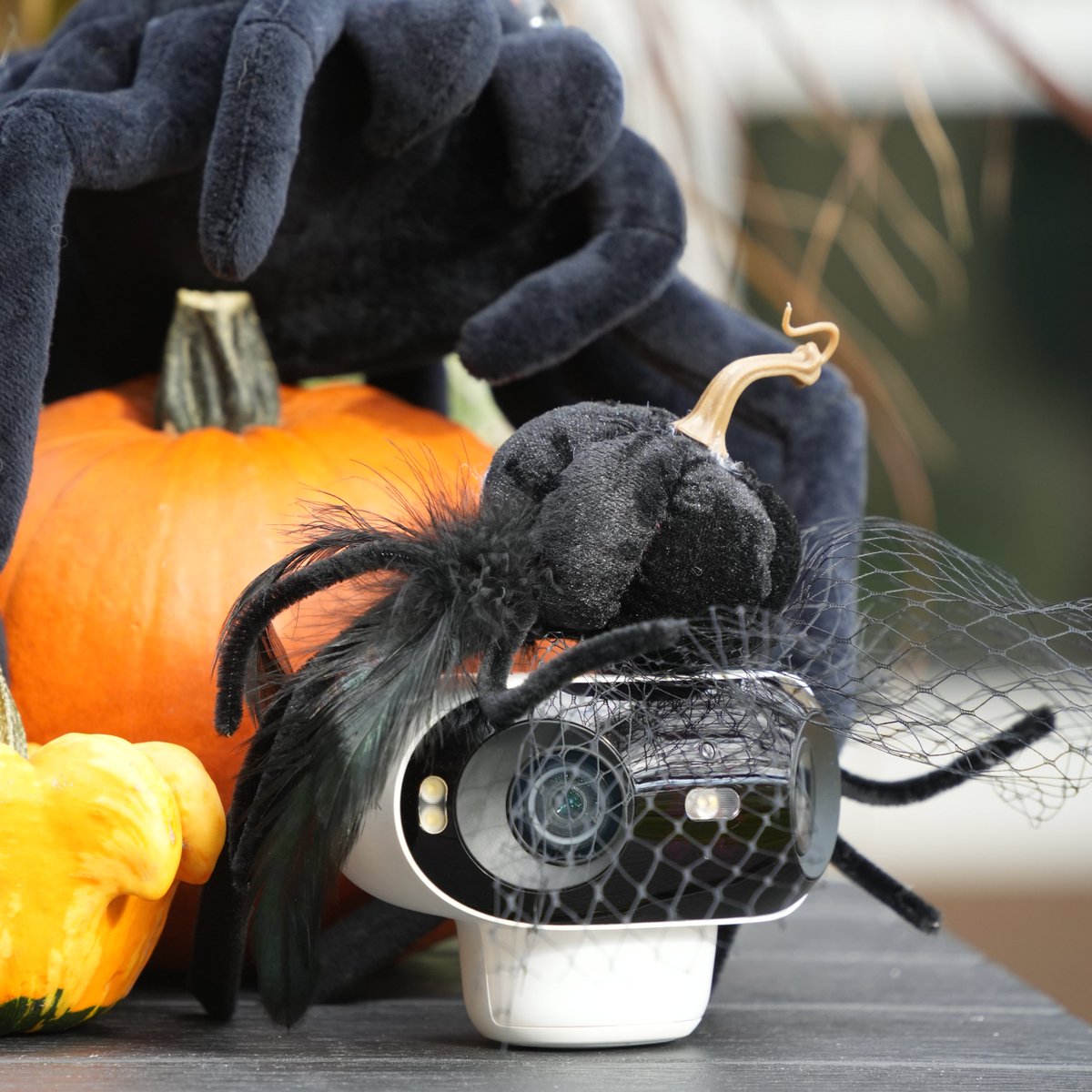 ReolinkTech's tweet image. As pumpkins glow and spooky lights twinkle, #Reolink guards the moments you treasure most. May your Halloween be cozy, bright, and secure. Share your Halloween decor with us in the comments! 🧡🎃🕯️
📷: dimox.t
#SecurityCamera #HomeSecurity #Halloween