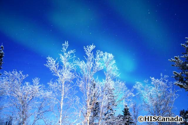 🌌オーロラ観るなら やっぱりカナダ・イエローナイフへ🇨🇦✨ ＼ 晴天