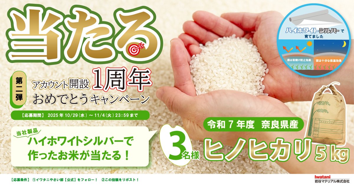 ぺこページ ペカ子＠NEWアカウント on X