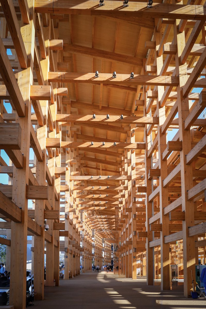 だぁ～るまさんが、ころんだぁ♬なんちゃって「投扇興セット❗️」なんば② だぁ～るまさんが、ころんだぁ♬なんちゃって「投扇興セット