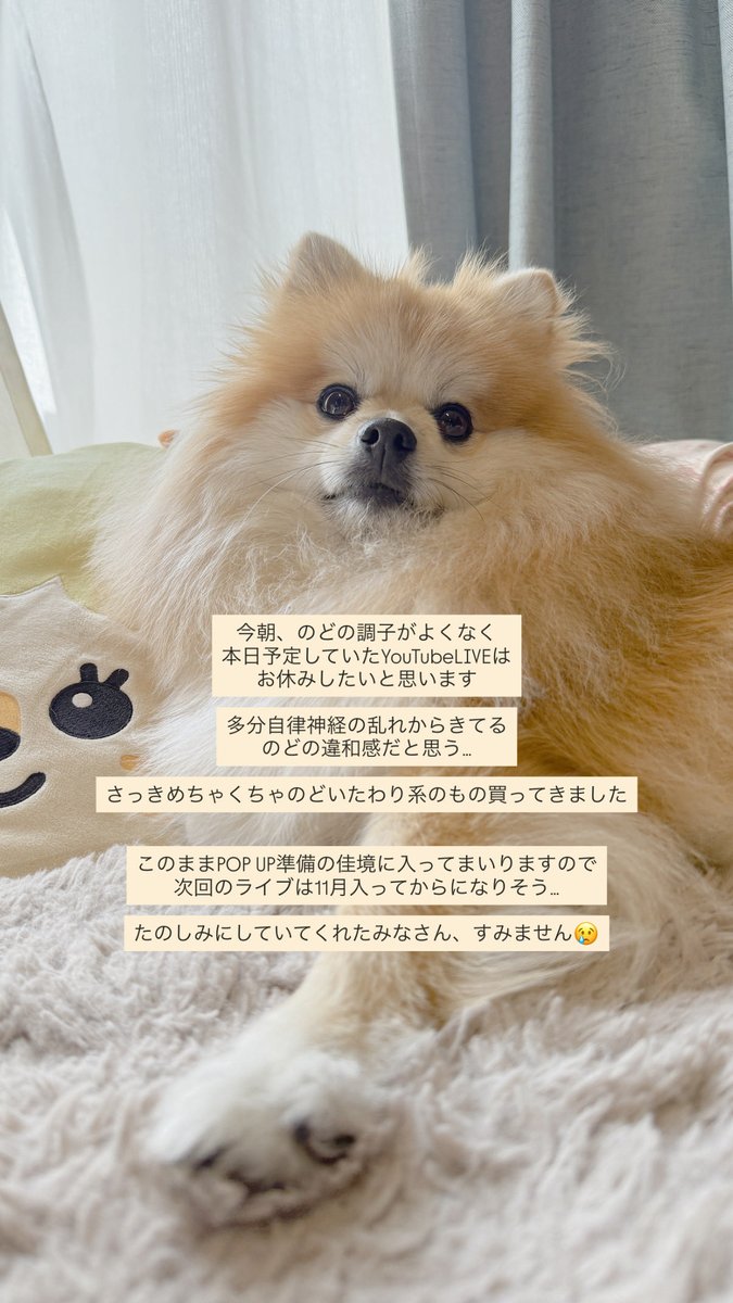 しろくまななみん🐻‍❄️🎨 (@nnmn_7) / Posts / X