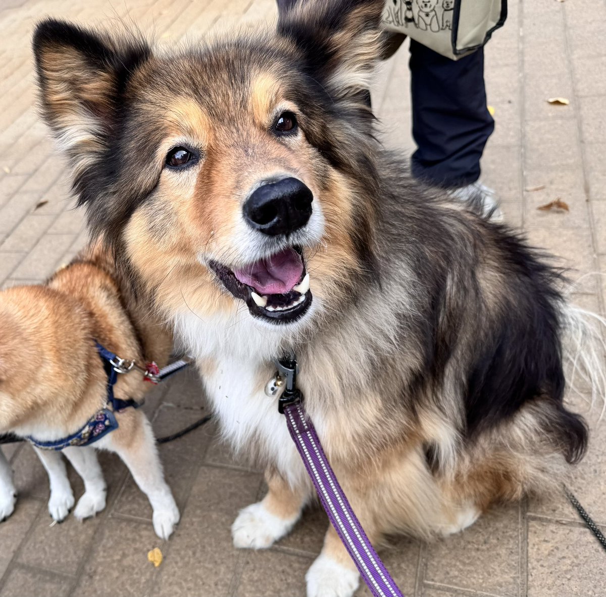 ♥ふたばページ♥ ふたば🌱 (@futaba1101) / Posts / X