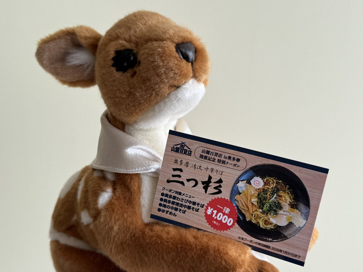 のれん 中華そば モスグリーン No.45247 (受注生産) 五巾のれん 中華