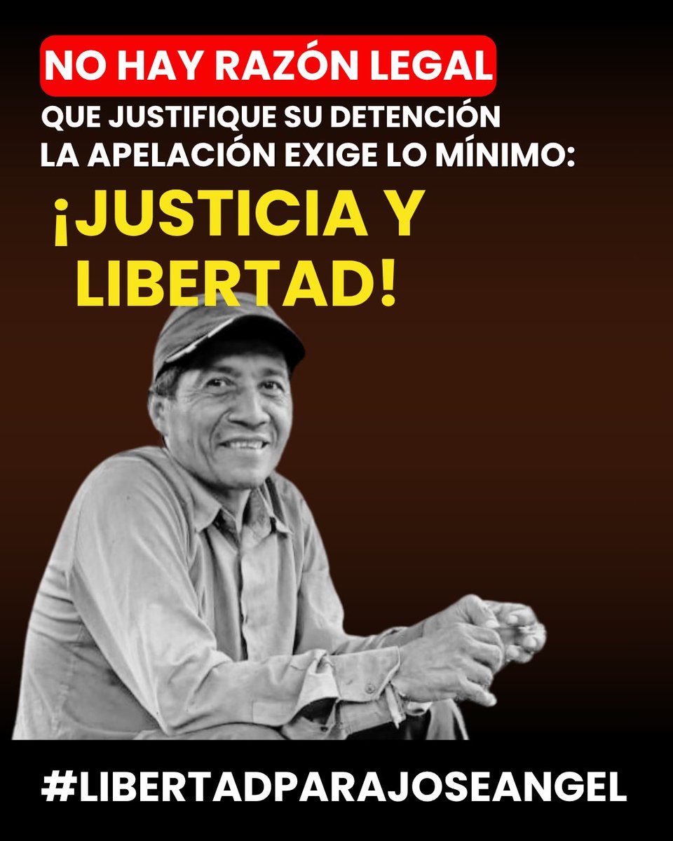 🌱 El Juzgado Segundo de Instrucción de Santa Tecla NO tiene otro camino legal que ordenar la #LibertadParaAlejandro y la #LibertadParaJoséÁngel. Su detención fue ilegal. La audiencia de revisión de medias es mañana 29 de octubre.