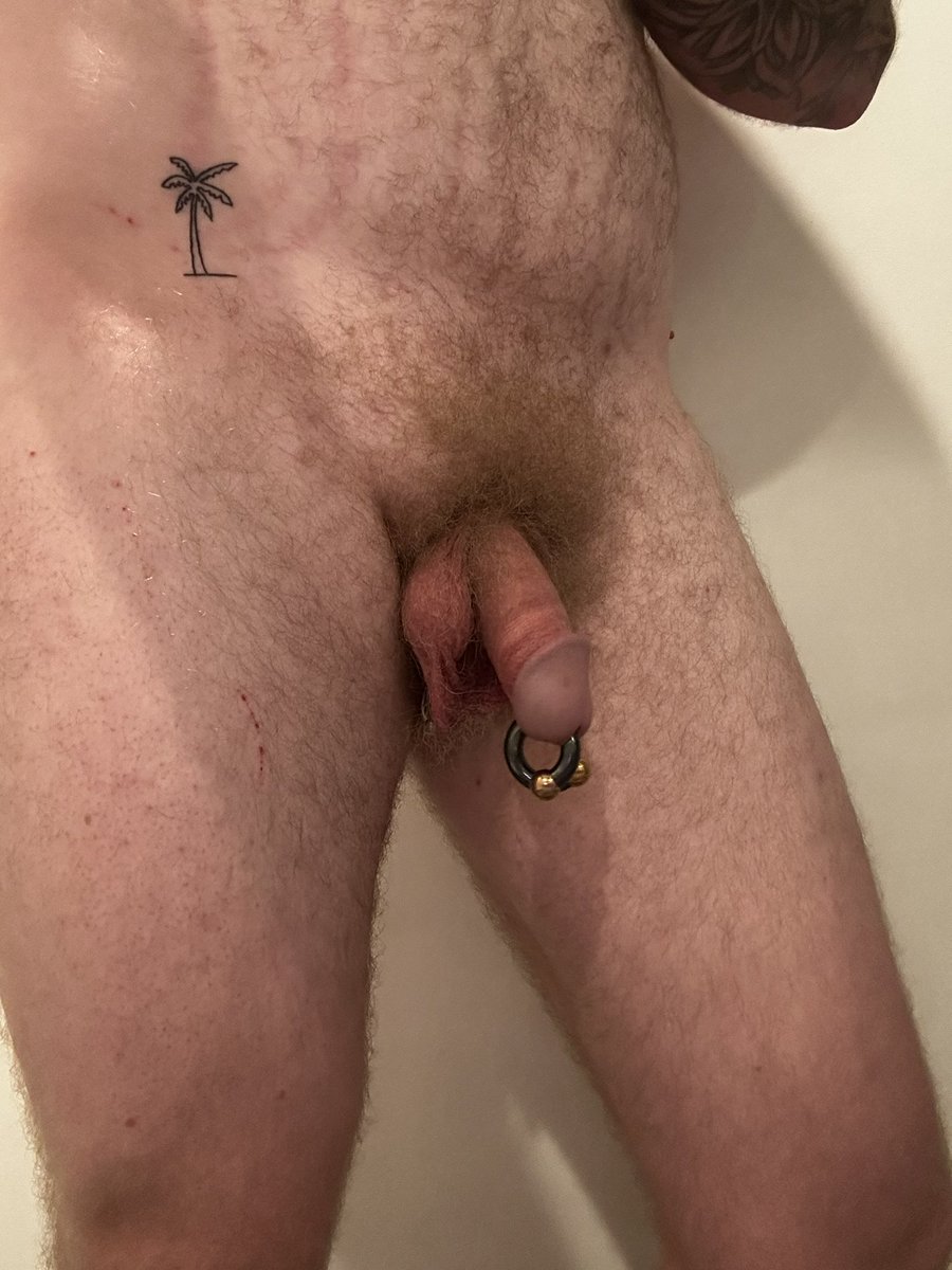 Thepuppex's tweet photo. FÓK this feels so damn good 😈 finally stretched to 0g (8 mm) and rocking a custom pig-tail barbell from a local jeweler. Love how it looks, love how it feels, and love showing it off 👅🐷
#princealbert #gaypup #musclepup #dickpiercing #cockpiercing https://t.co/oSurQocz2k
