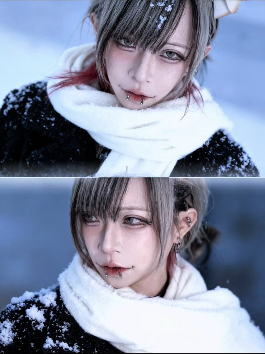 🦭❄️❄️❄️❄️❄️❄️