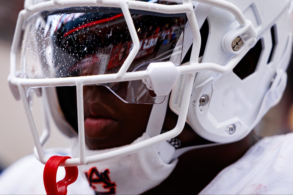 David Gray tweet media