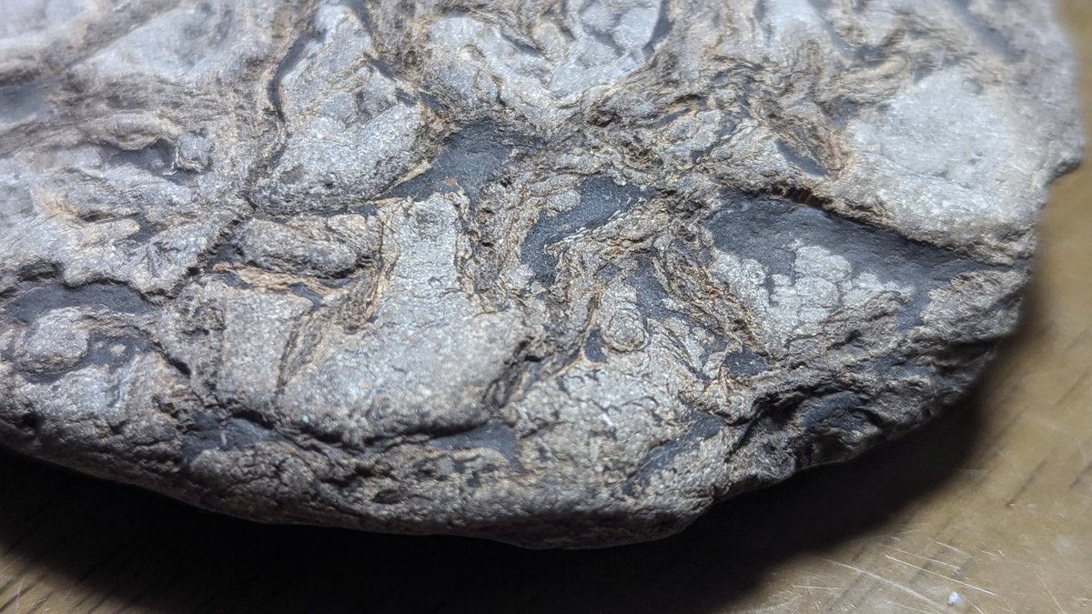 石のうえの静物 石のうえの静物 石のうえの静物