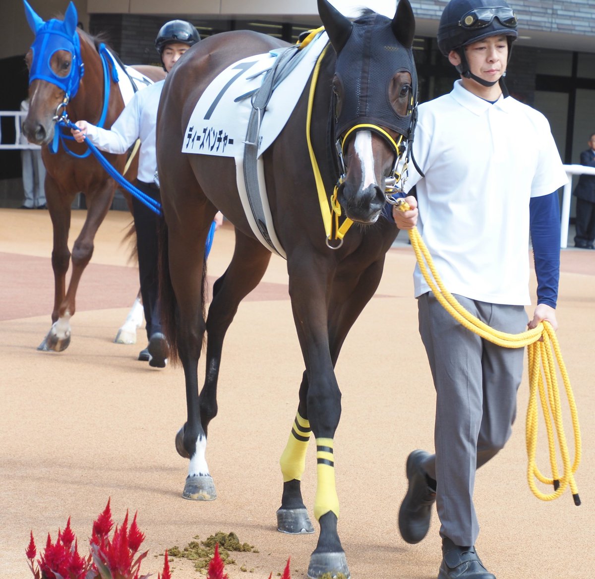 馬くんさん専用　　　写真18.19.20 3点セット et-coquine on X