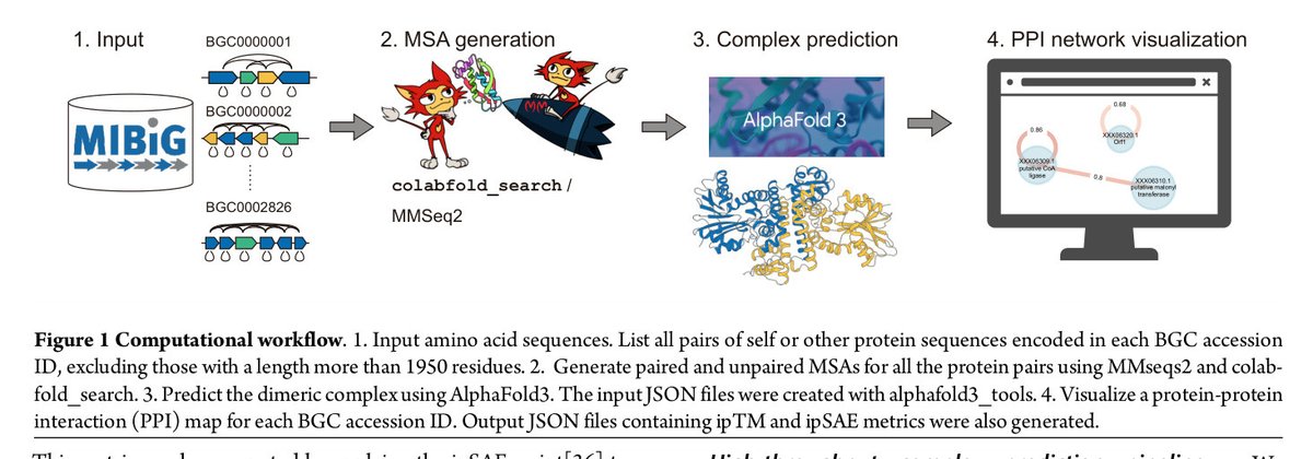 学術変革A－予知生合成科学 tweet media