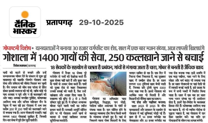 गौशाला में 1400 गायों की सेवा,  
250 गौवंश को कटने से बचाया।  
सेवाभाव और संरक्षण की मिसाल,  
गांव-गांव से जुड़ रहा योगदान।
#गोपाष्टमी #गौसेवा #गौशाला #प्राकृतिकखाद