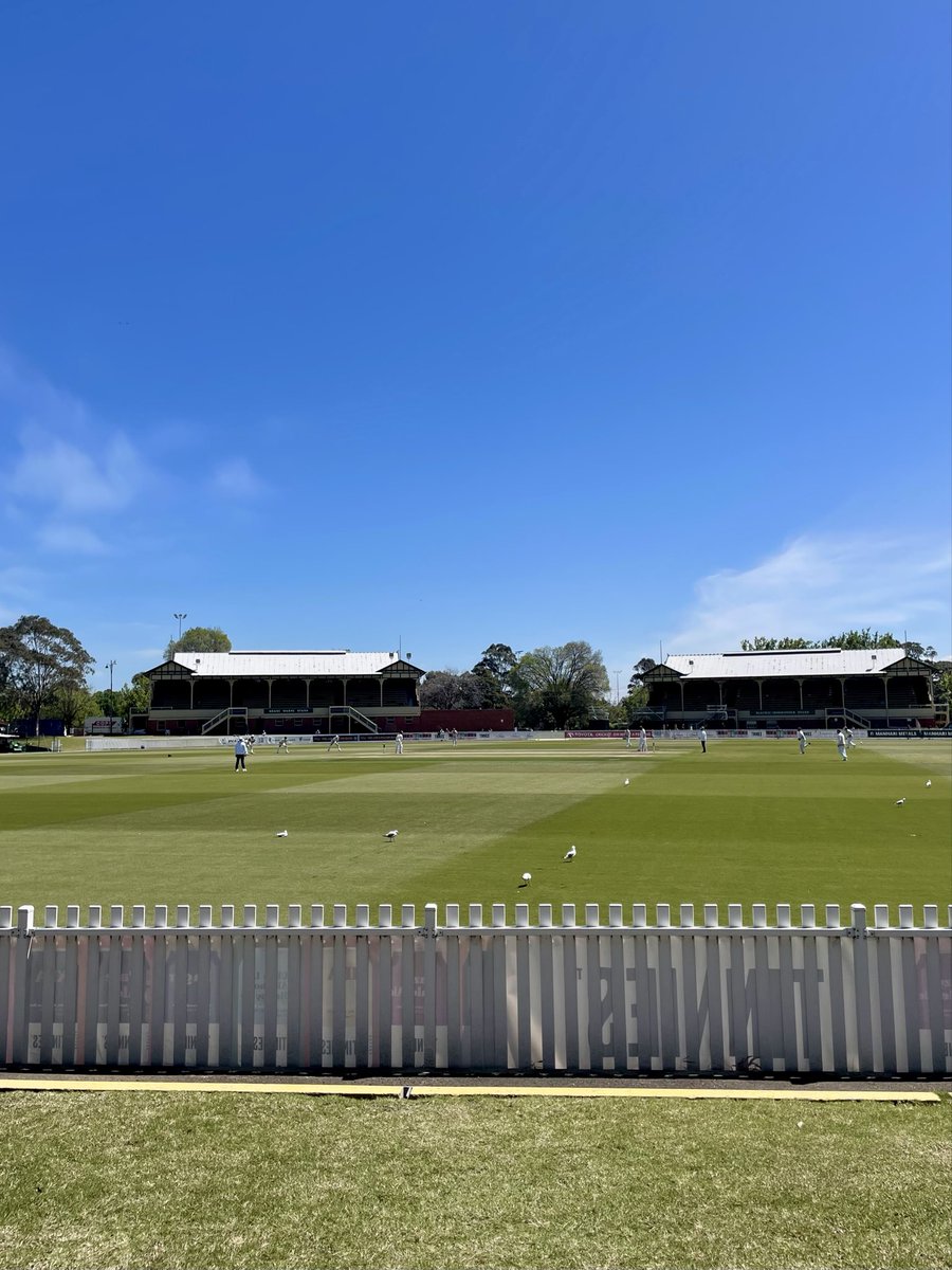 ktrimpie's tweet photo. Worse ways to spend a Wednesday arvo ☀️ #VICvTAS #SheffieldShield https://t.co/eG8tna4Vj1