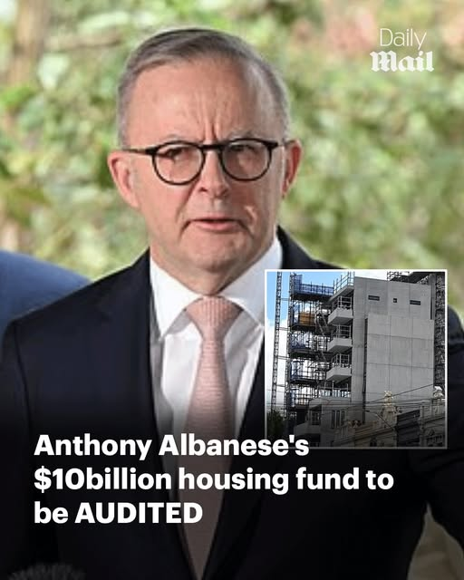would you believe the AVERAGE cost of a houso flat was Seven Hunnet and Fiddy Thou?

Oh Ablo, why can't we trust you?

dailymail.co.uk/news/article-1…