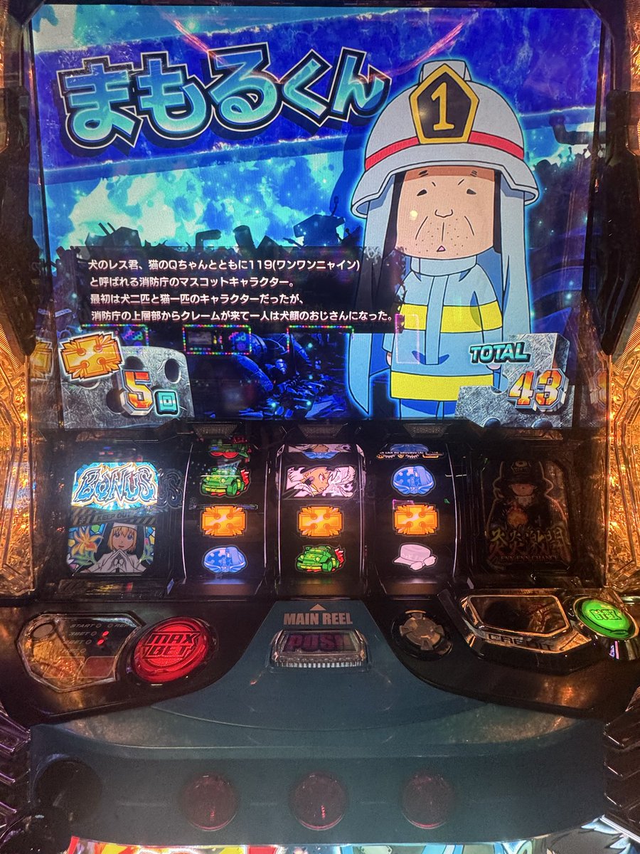 たまちゃん様LXL こたちゃん🐻🌟 on X