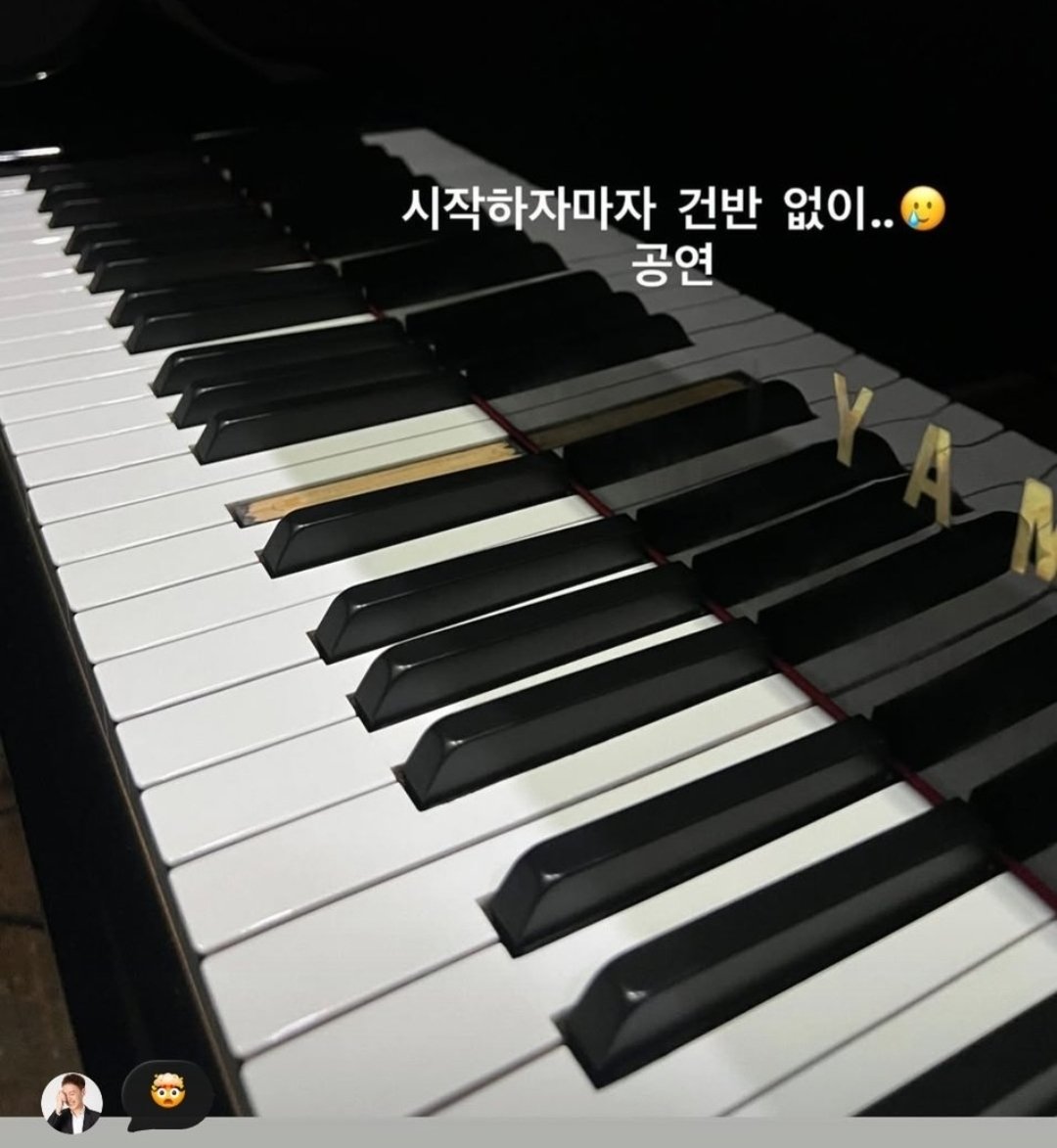늘냥 tweet media