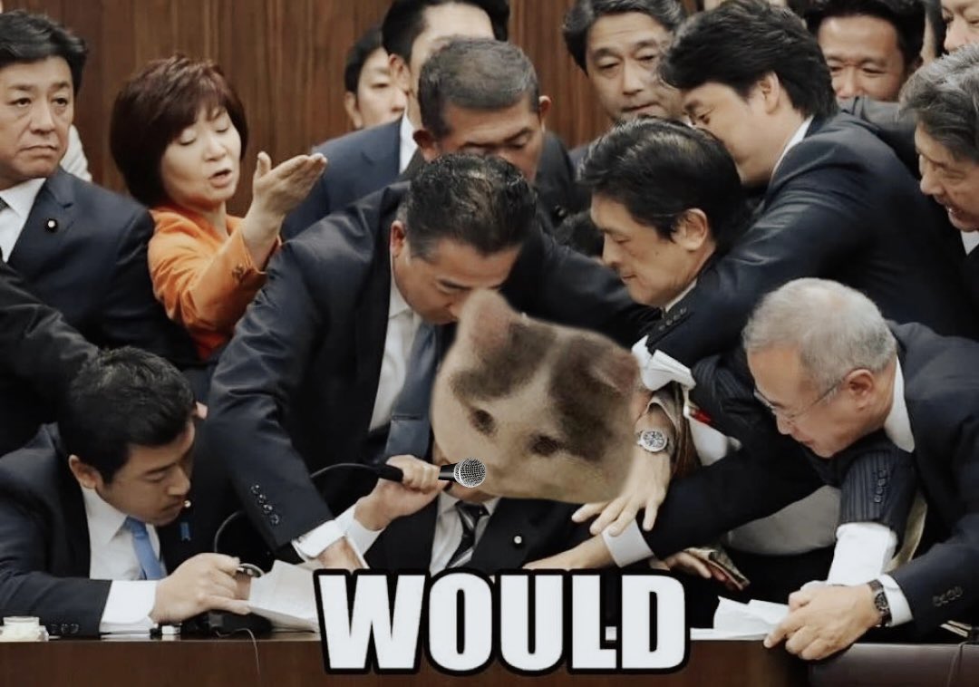 michi (@michionsolana) on Twitter photo 