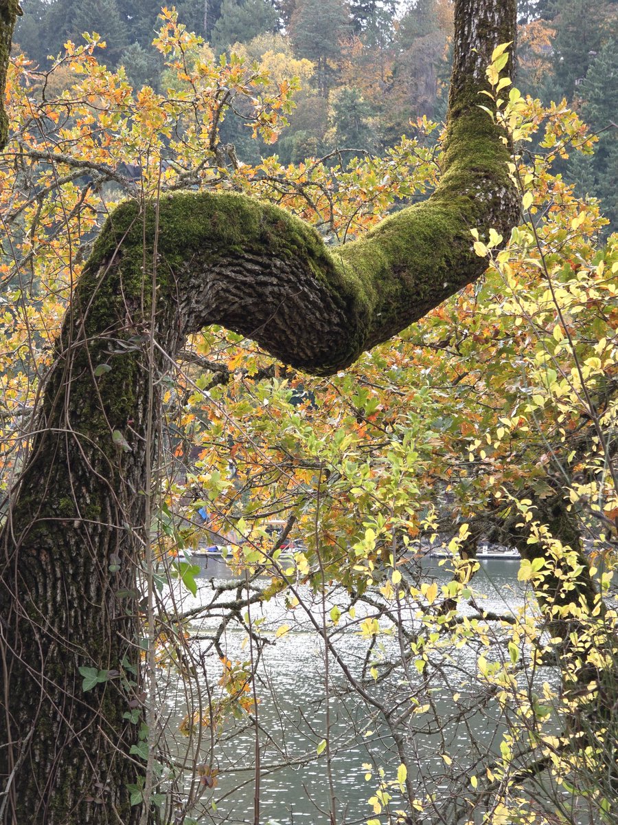 MixDB's tweet image. 