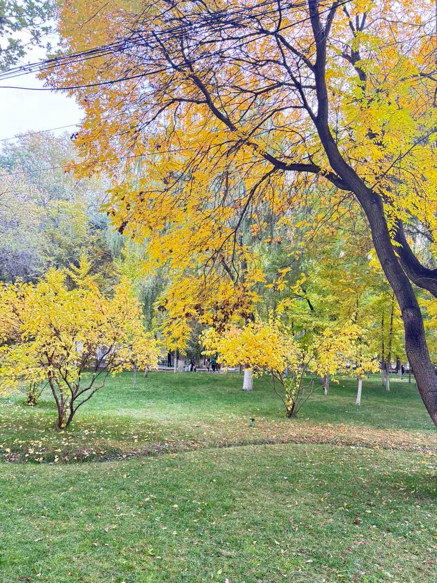 Redamanod's tweet photo. 学���少做事情很重要。把时间主要花在对自己来说最重要，有长远价值的一两件事上，���可能少参与少关心。其它事，你参与或关心的事务越多，你的时间被稀释得越厉害，回头看都是纷纷扰扰一场空。 ​​​吐槽于兰州安宁植物园✌️ https://t.co/KBU7g5U263