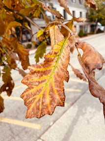 This Side of Fifty: Sweatshirt Weather thissideoffifty.blogspot.com/2025/10/sweats…