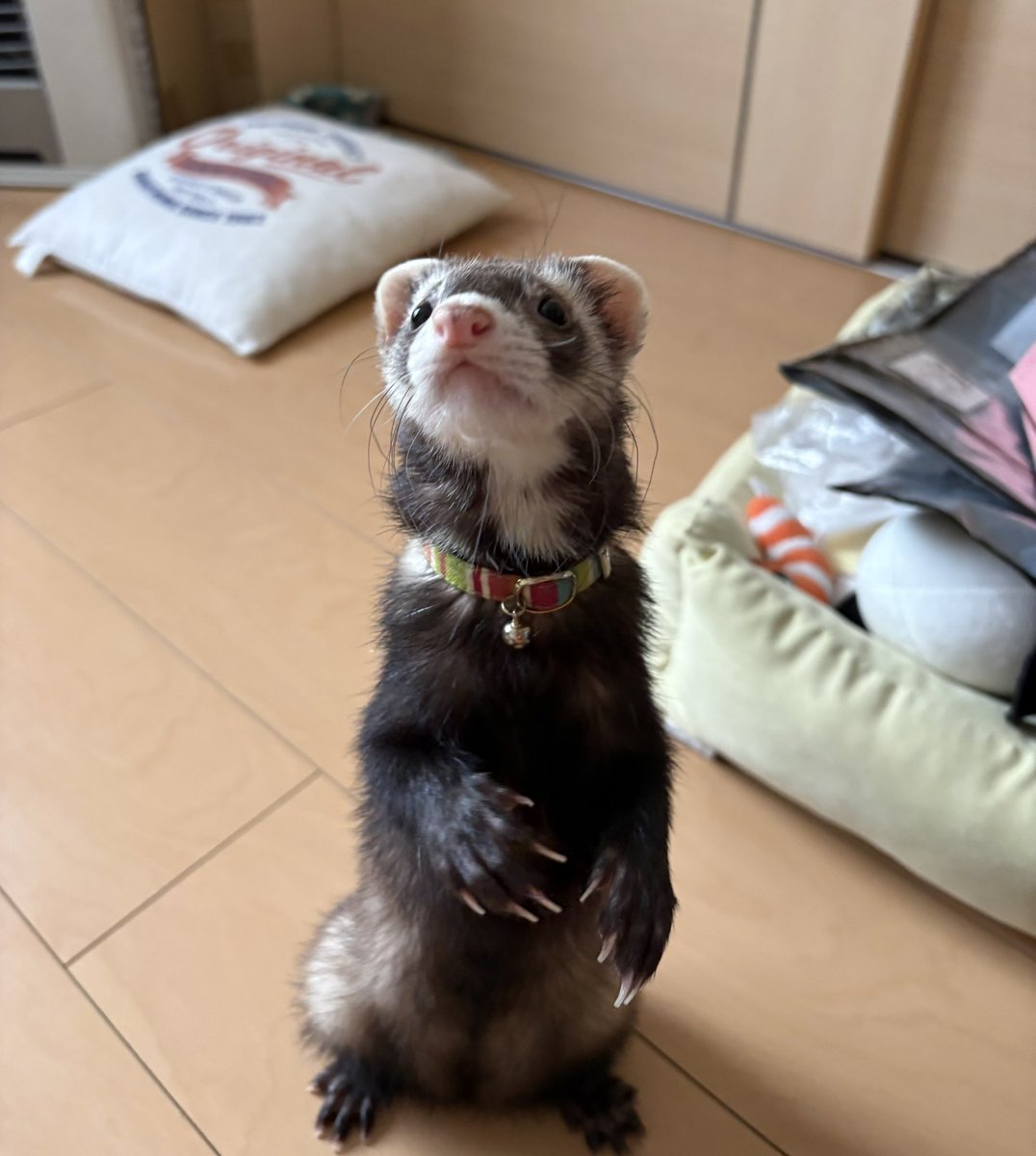 ちょこ☺︎❤︎