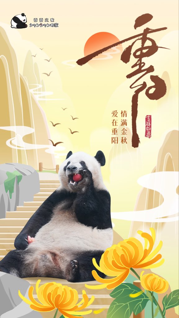 今日は重陽節（ちょうようせつ）です。「重九節」「茱萸節（しゅゆせつ）」「登高節」「敬老節」とも呼ばれ、毎年旧暦9月9日にあたる中国の伝統祝祭日です。この日は収穫を祝い、長寿を祈り、高齢者への尊敬と敬愛を表す日とされています。「易経」では「九」を陽の数と定めており、9月9日は「陽」の気