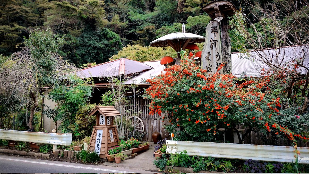 まちゃ様 Amazon | maxsun GeForce RTX 4060 iCraft OC 8GB GDDR6 ACGN