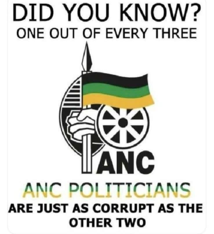 RSantamicone's tweet image. 