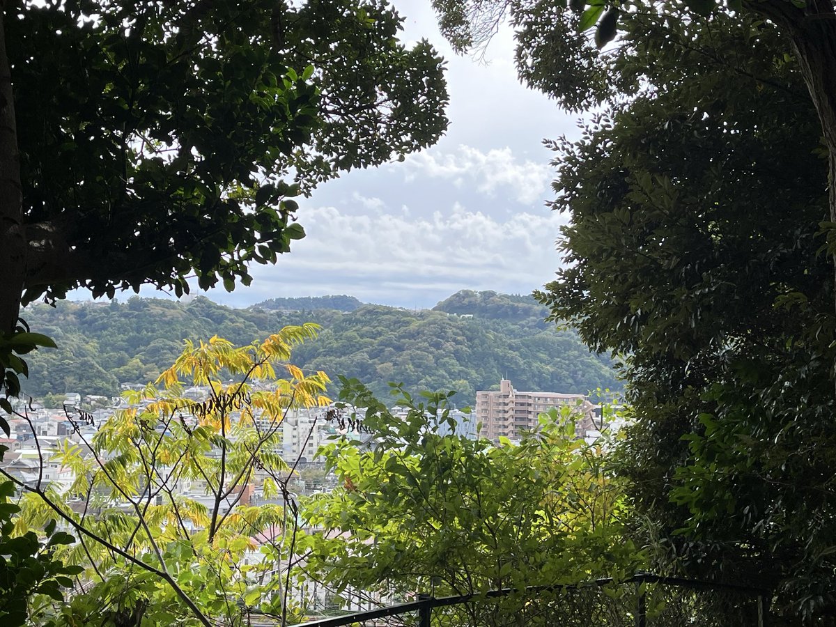 yataka_null's tweet photo. 有給
謎の終点駅、逗子に出向き
謎の神社の裏山でちゃんとした山道を登った https://t.co/BelzT3YZoq