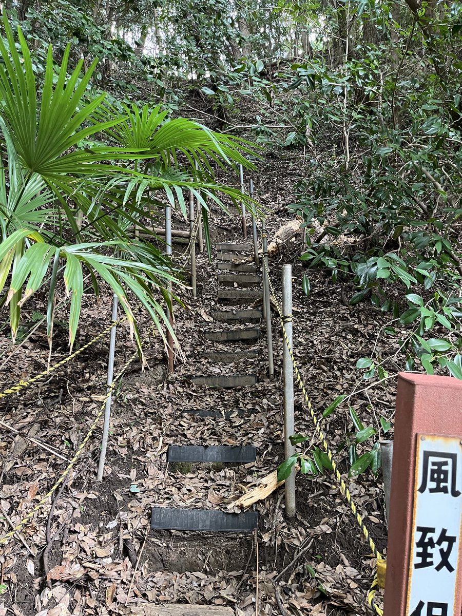 yataka_null's tweet photo. 有給
謎の終点駅、逗子に出向き
謎の神社の裏山でちゃんとした山道を登った https://t.co/BelzT3YZoq