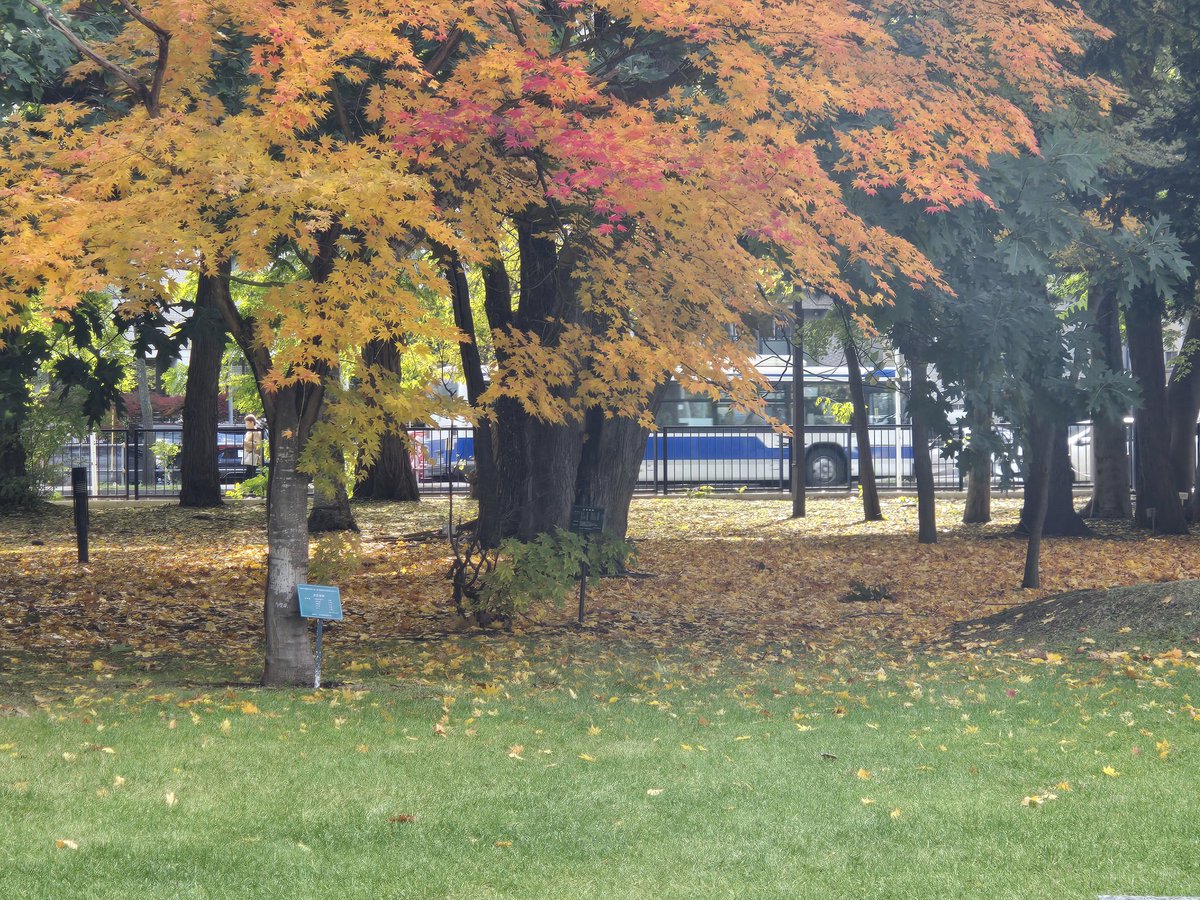 幸鳥　　高鶴元 CE158番船「THUNDER BIRD」命名・進水式 – ツネイシクラフト