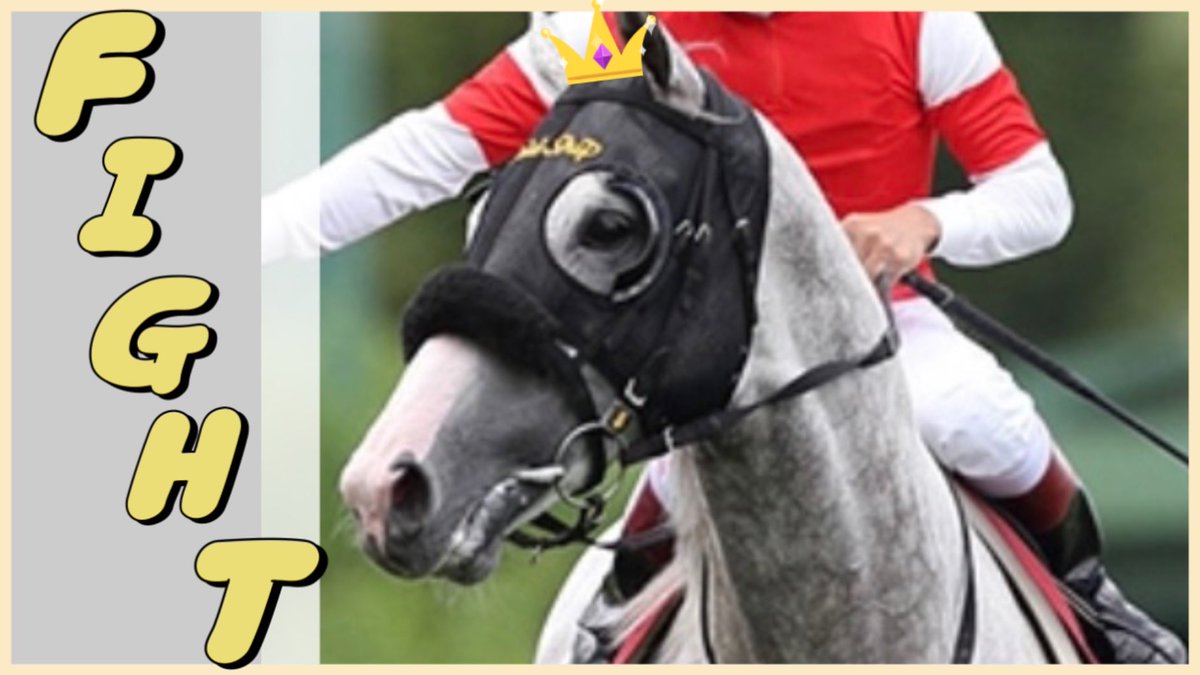 馬のポニー 馬の販売について | Grand pony club(グランド ポニー クラブ)