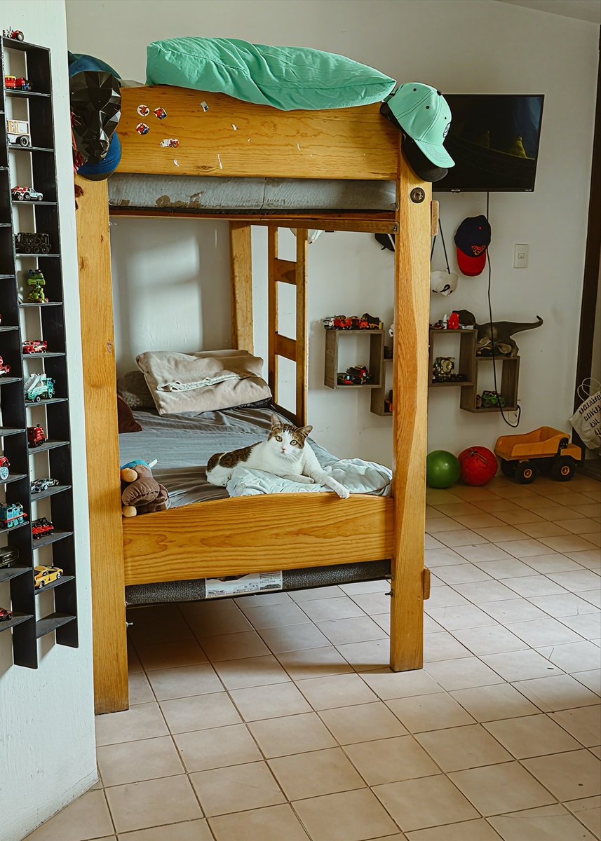 estudio5d's tweet image. Fotografías #prequel #fotos #16pro