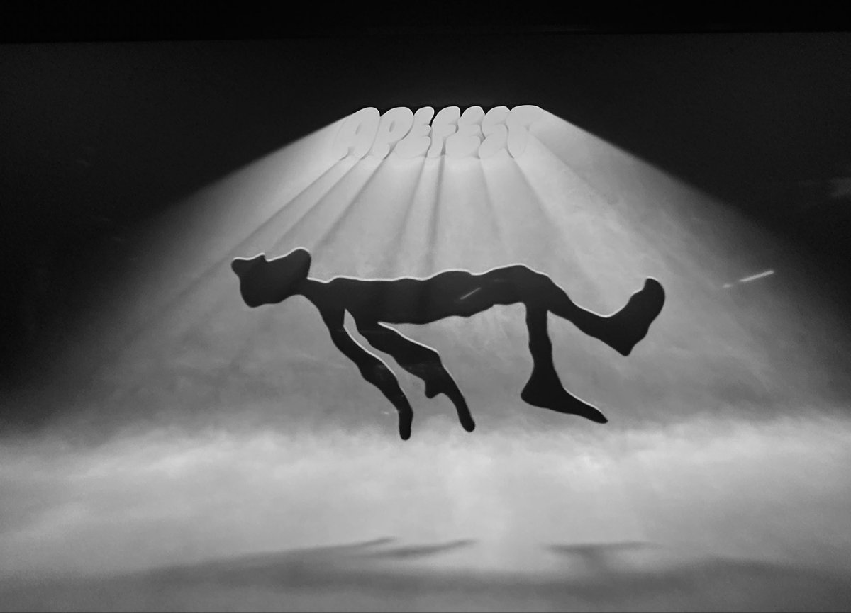 Bored Ape Yacht Club