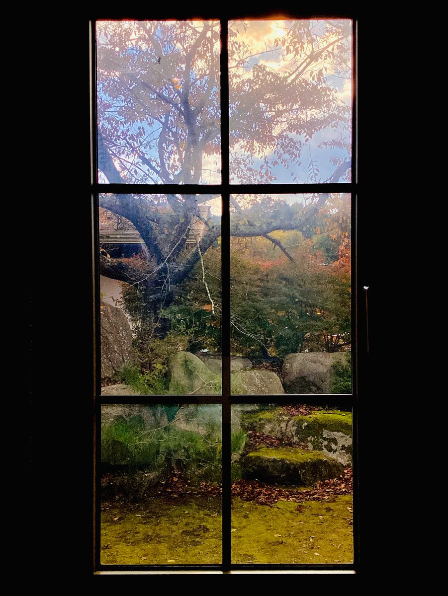 ゆめうさぎ on X