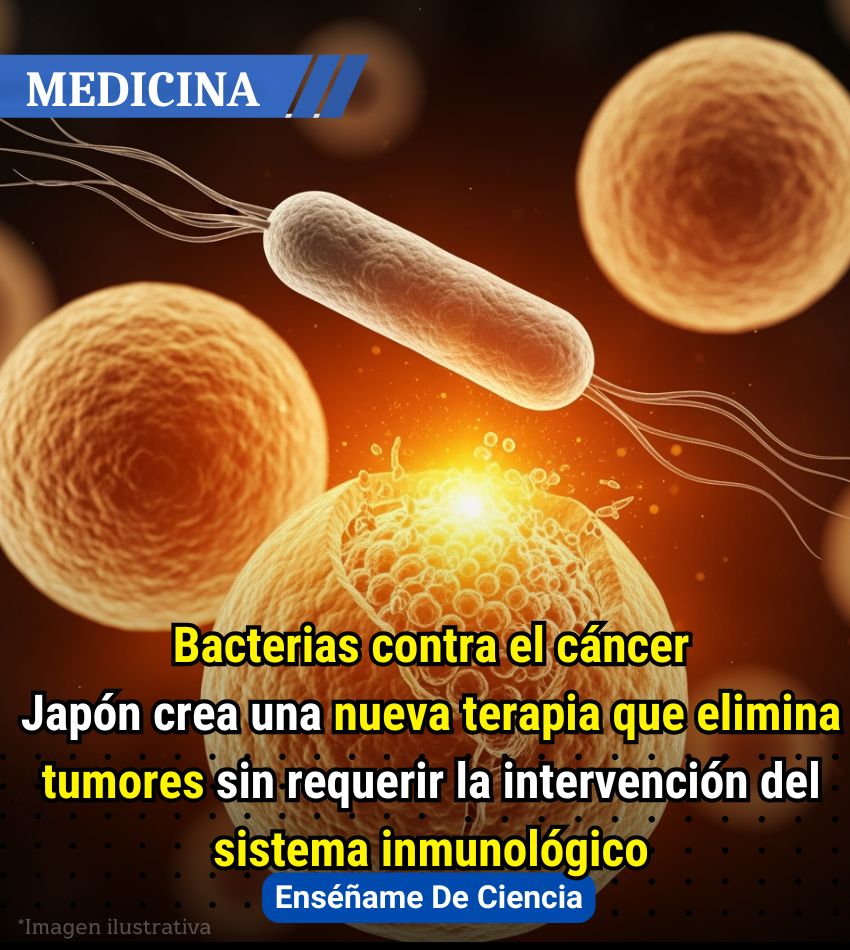 Enséñame de Ciencia (@ensedeciencia) on Twitter photo 