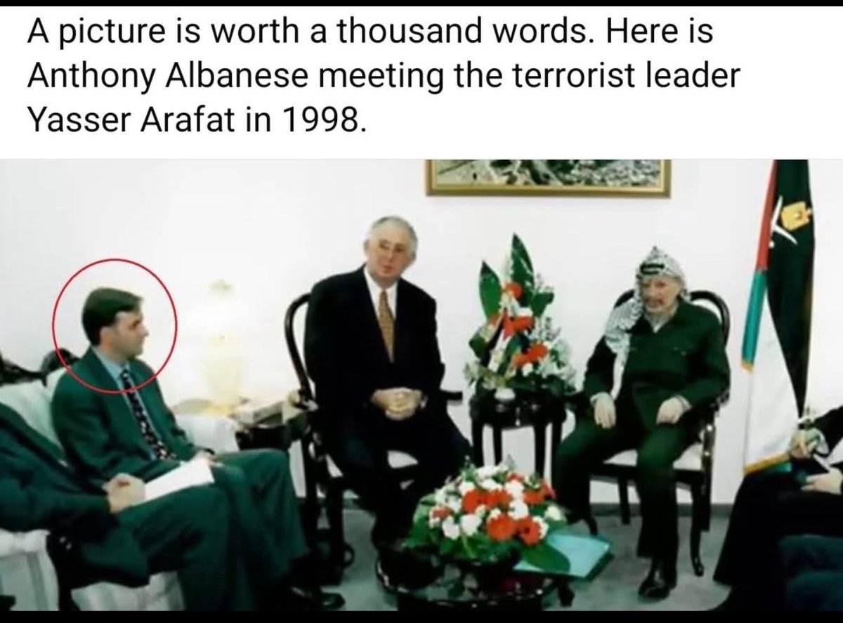 Liza Rosen tweet media