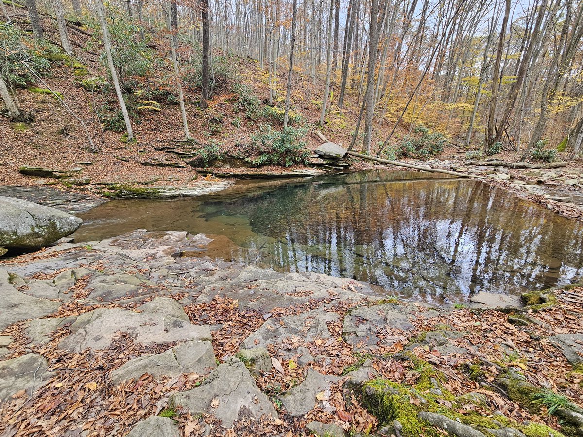 TravelWthLizzie's tweet image. Beautiful blue hole located  in Forbes State Forest Somerset County Pa. This spot is breathtaking in the summer months as the sun beams off the deep blue hole

#StateForests #Pennsylvania #Pennsylvaniastateparks #BlueHole #ForbesStateForest #NatureLovers #Travel #explore #water