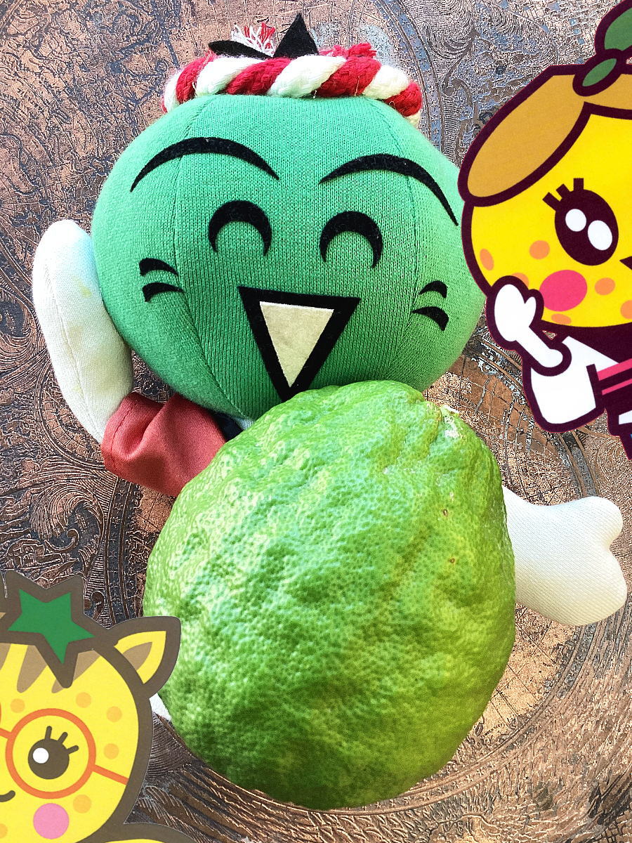 徳島ゆずみその(株)柚りっ子@通販固定ポストからお越しください on X