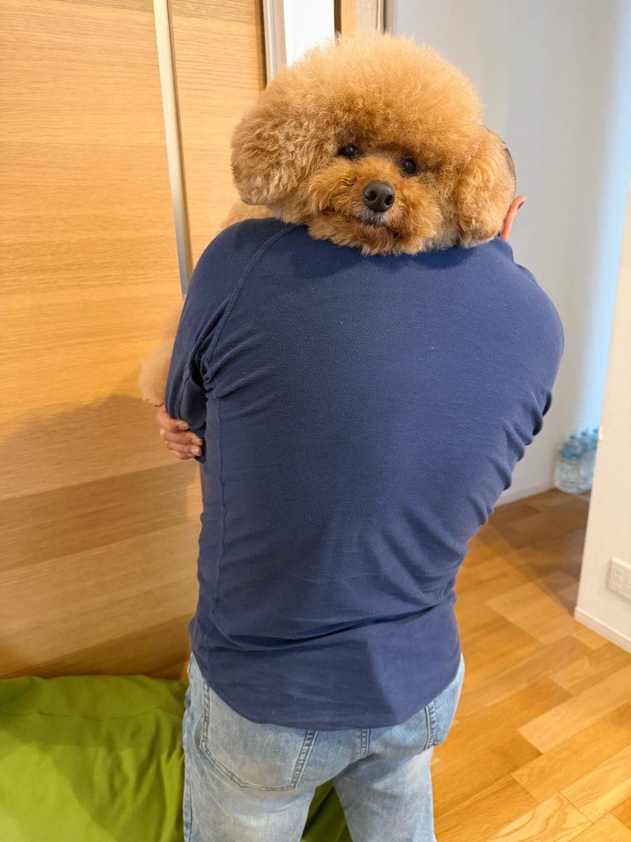 トイプードルPoochin🌱とミヌエットKiki (@IW29WOXYx9SJanR) / Posts / X